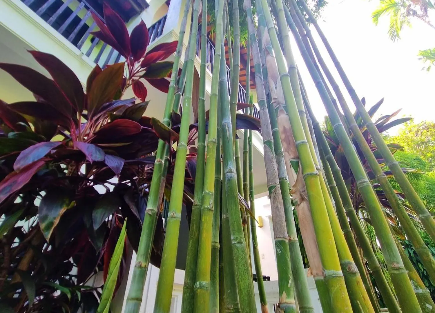 Hoi An Ancient House Resort & Spa Hoi An