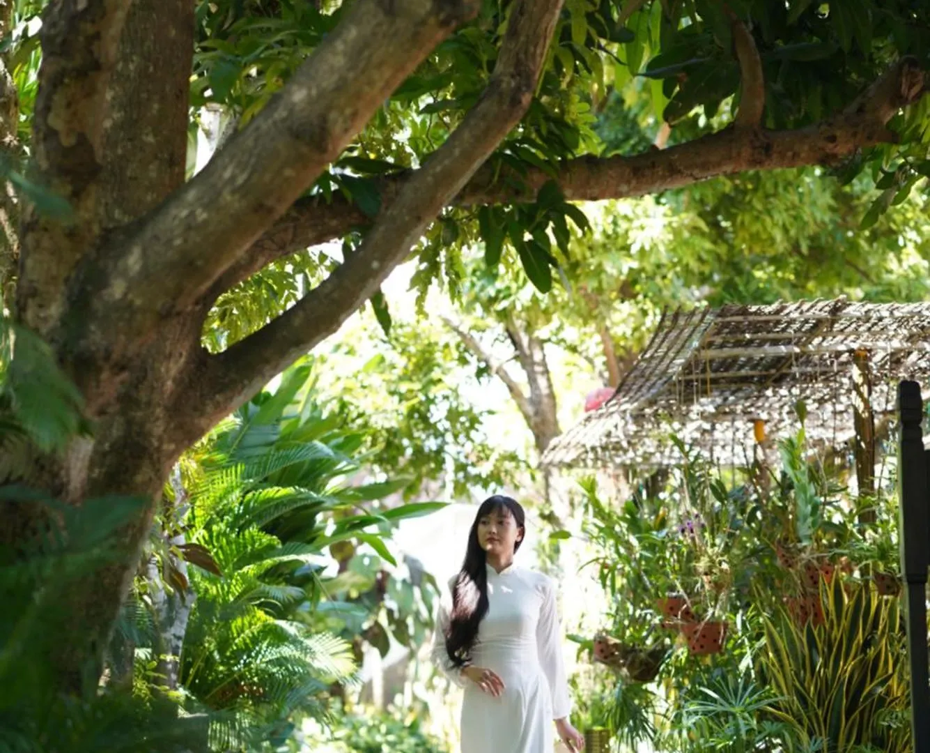 ****  Hoi An Ancient House Resort & Spa Vietnam